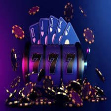 555rr bet