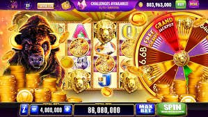555rr bet