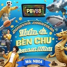 555rr bet